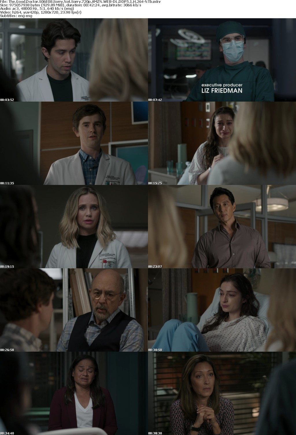 The Good Doctor S06E08 Sorry Not Sorry 720p AMZN WEBRip DDP5 1 x264-NTb