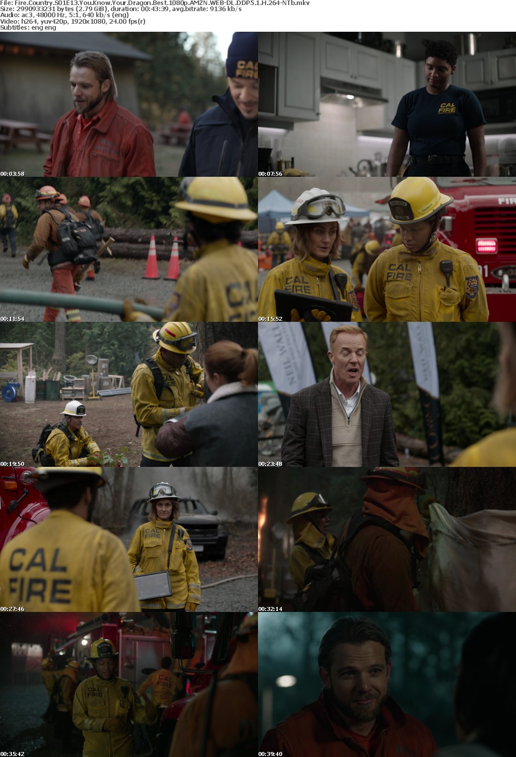 Fire Country S01E13 You Know Your Dragon Best 1080p AMZN WEBRip DDP5 1 x264-NTb