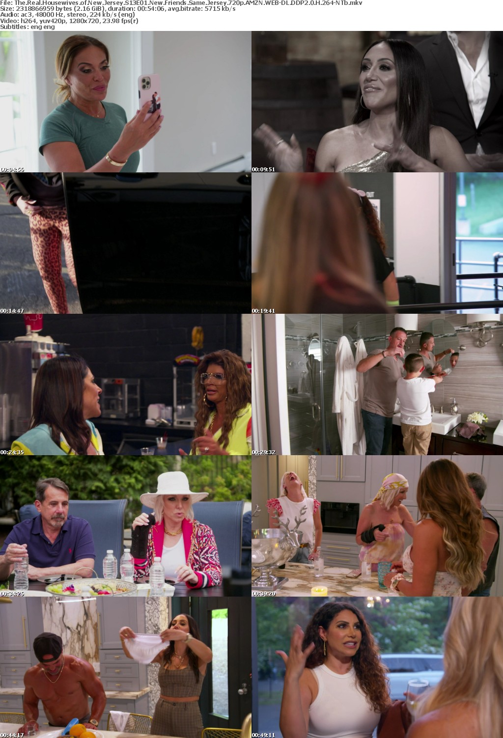 The Real Housewives of New Jersey S13E01 New Friends Same Jersey 720p AMZN WEBRip DDP2 0 x264-NTb