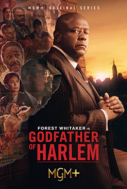 Godfather Of Harlem S03E06 XviD-AFG