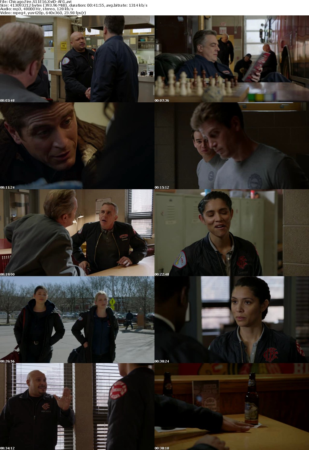 Chicago Fire S11E16 XviD-AFG