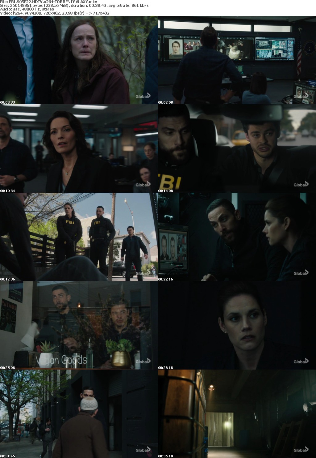 FBI S05E22 HDTV x264-GALAXY