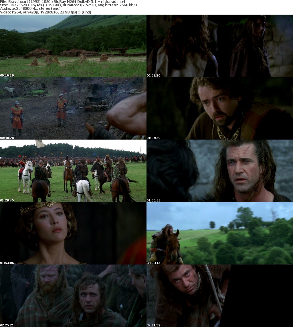 Braveheart (1995) 1080p BluRay H264 DolbyD 5 1 nickarad