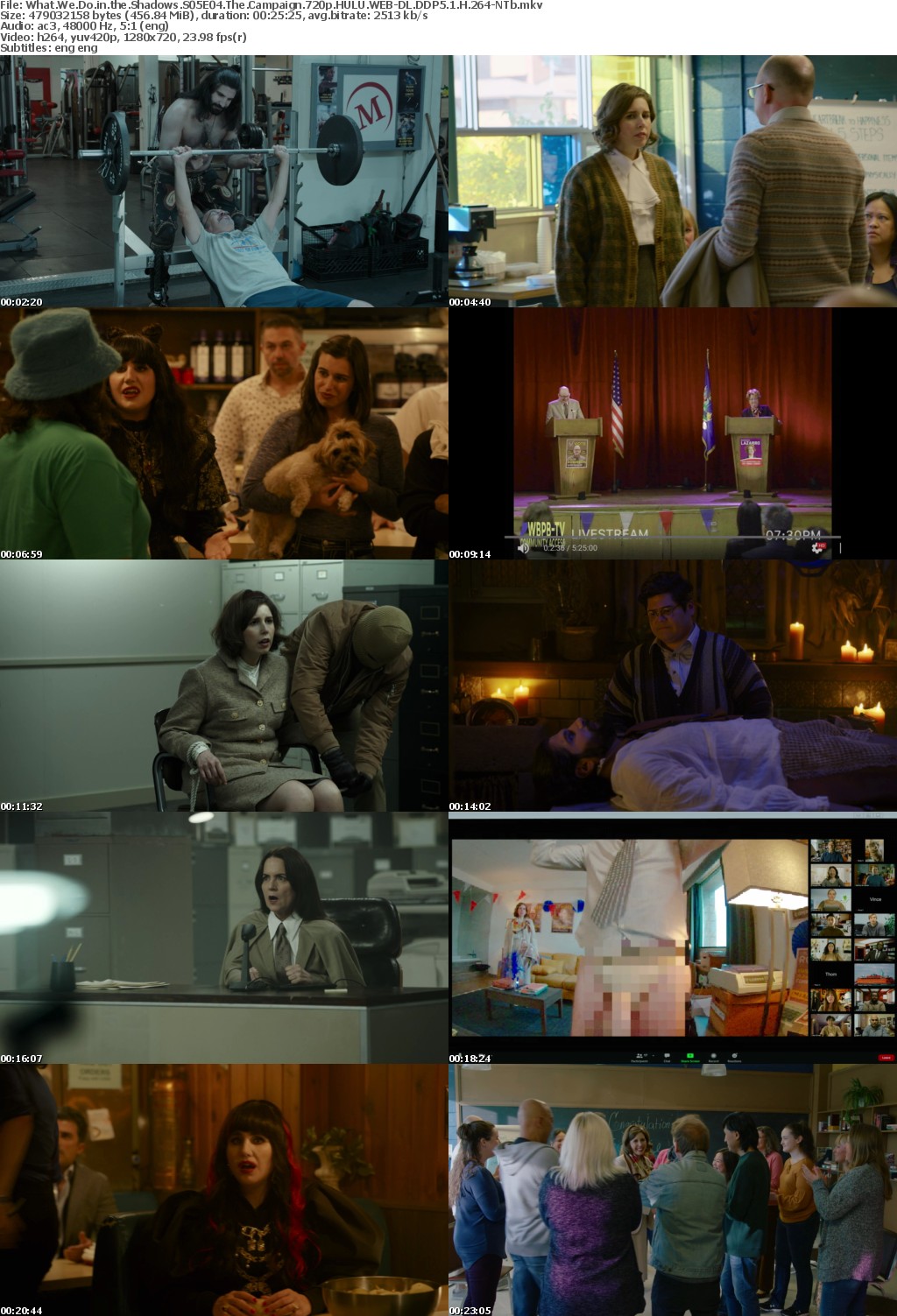 What We Do in the Shadows S05E04 The Campaign 720p HULU WEB-DL DDP5 1 H 264-NTb