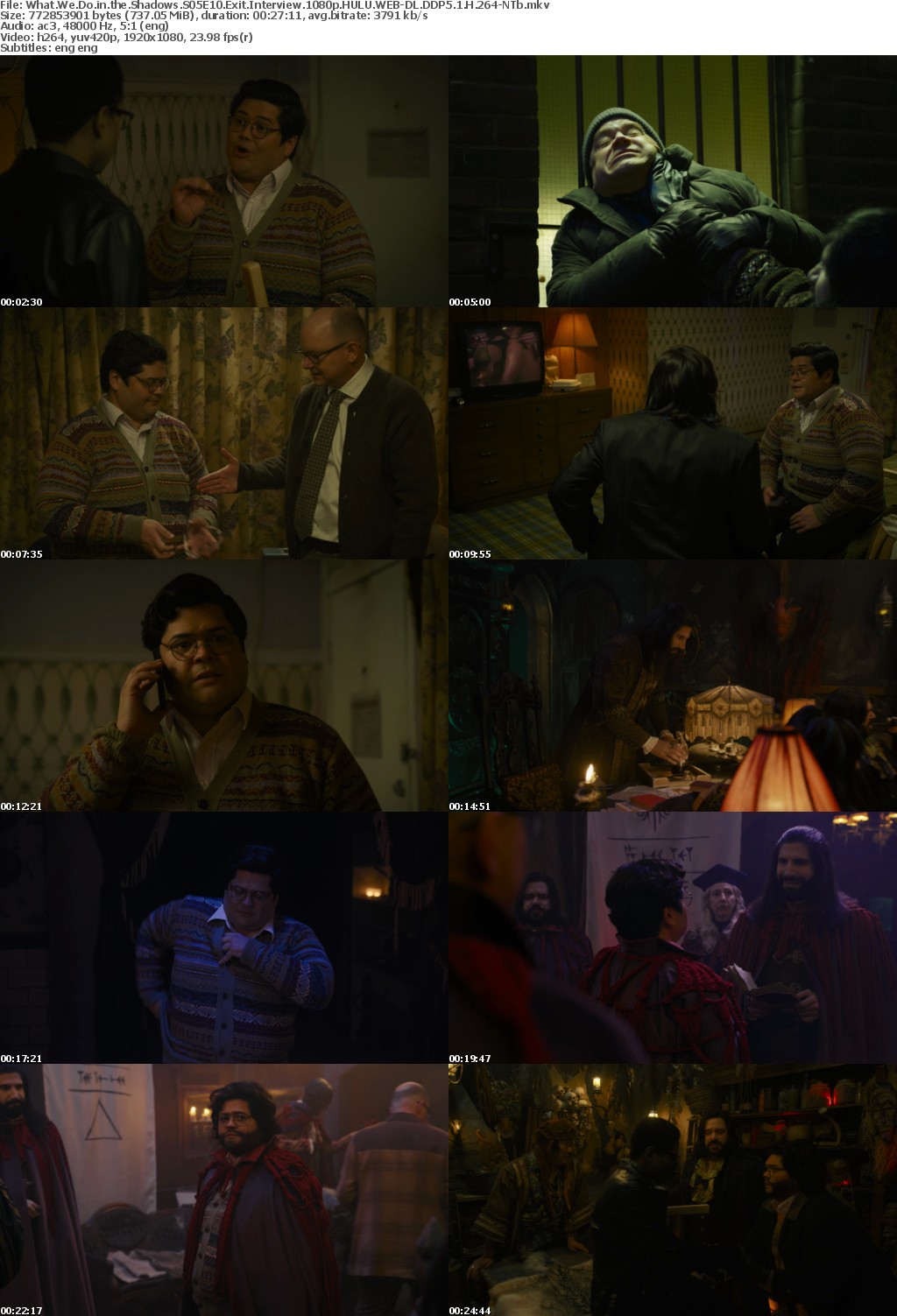 What We Do in the Shadows S05E10 Exit Interview 1080p HULU WEB-DL DDP5 1 H 264-NTb