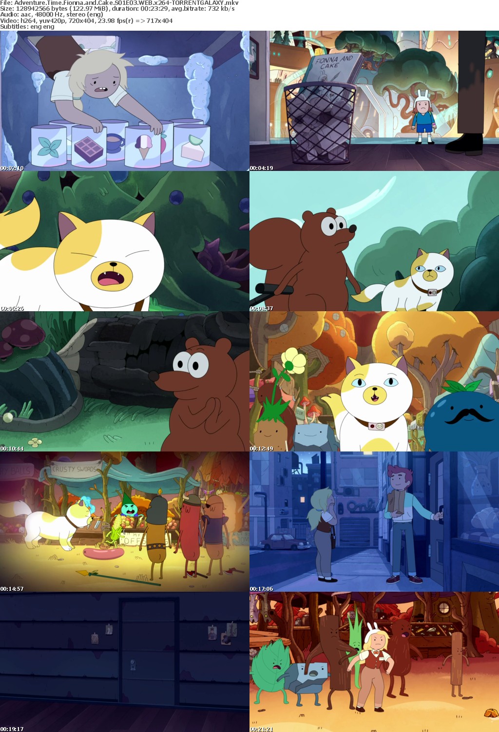 Adventure Time Fionna and Cake S01E03 WEB x264-GALAXY