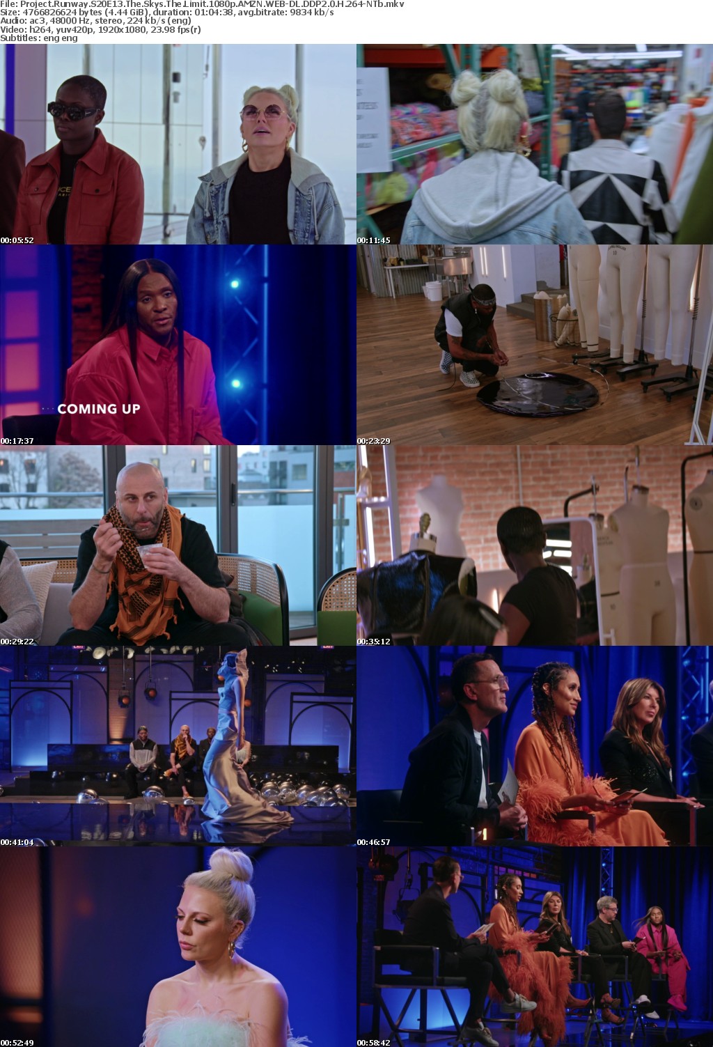 Project Runway S20E13 The Skys The Limit 1080p AMZN WEB-DL DDP2 0 H 264-NTb
