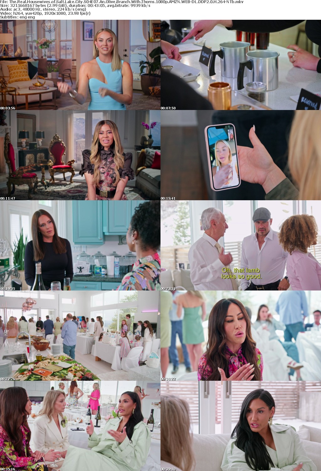 The Real Housewives of Salt Lake City S04E07 An Olive Branch With Thorns 1080p AMZN WEB-DL DDP2 0 H 264-NTb