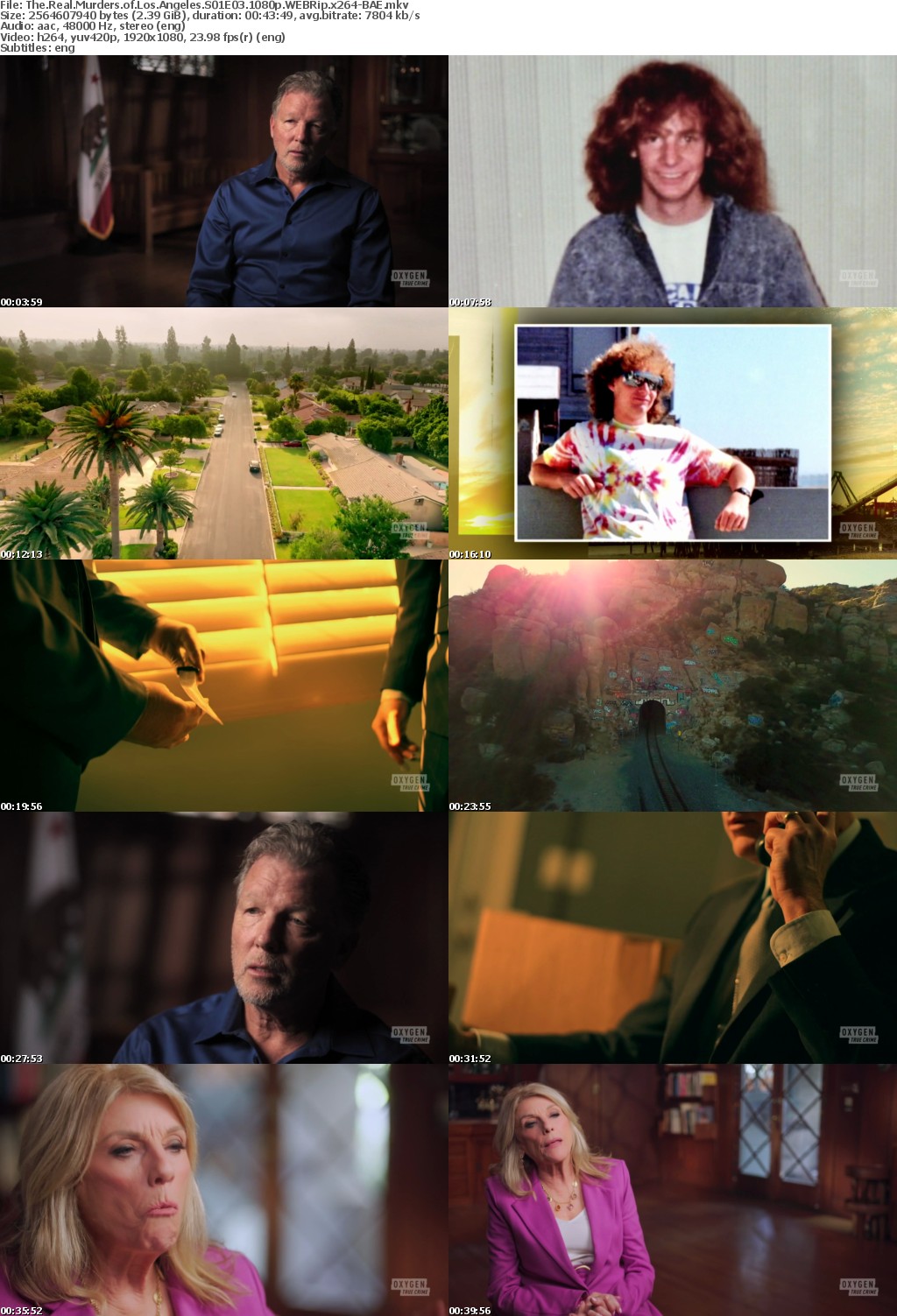 The Real Murders of Los Angeles S01E03 1080p WEBRip x264-BAE