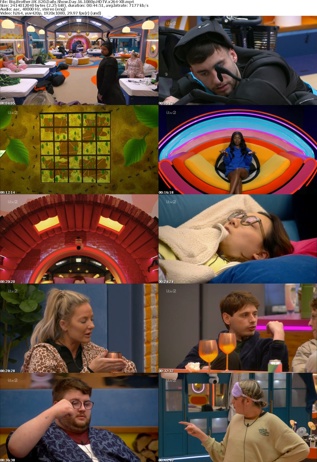 Big Brother UK S20 Daily Show Day 16 1080p HDTV x264-XB