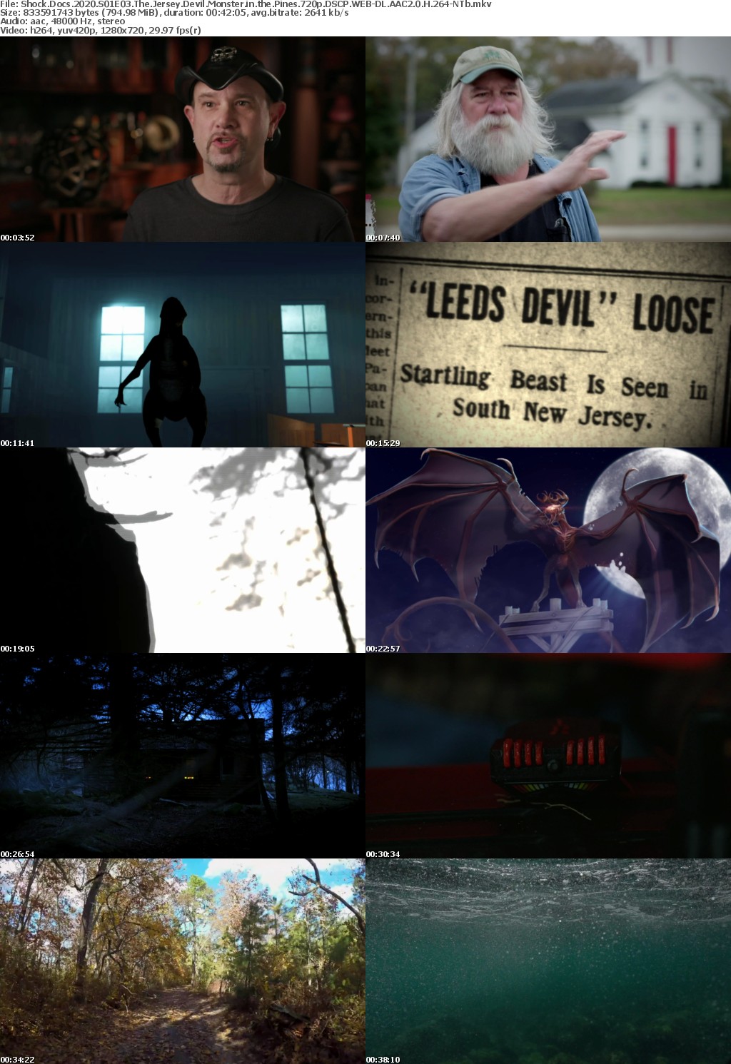 Shock Docs 2020 S01E03 The Jersey Devil Monster in the Pines 720p DSCP WEB-DL AAC2 0 H 264-NTb