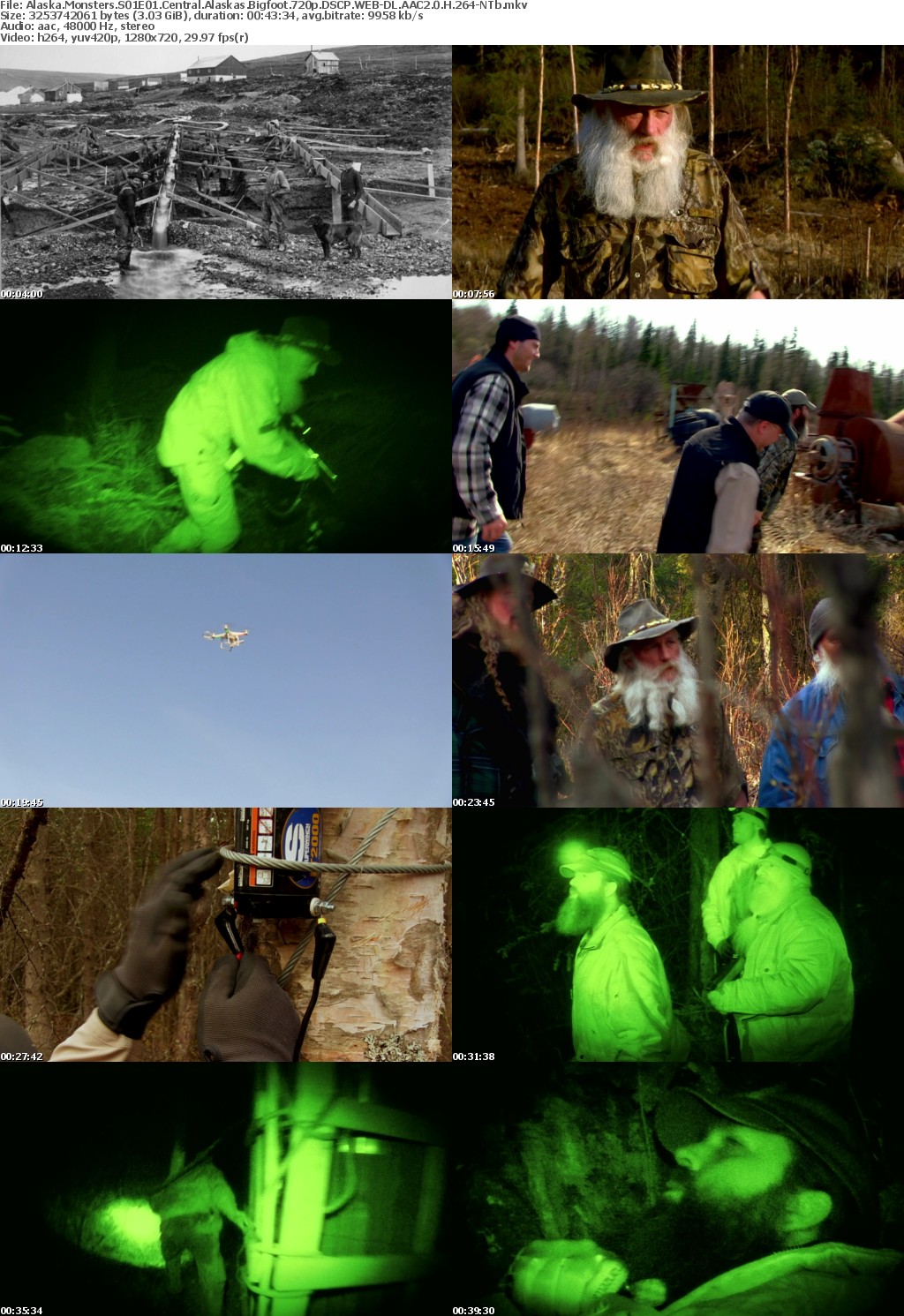 Alaska Monsters S01E01 Central Alaskas Bigfoot 720p DSCP WEB-DL AAC2 0 H 264-NTb