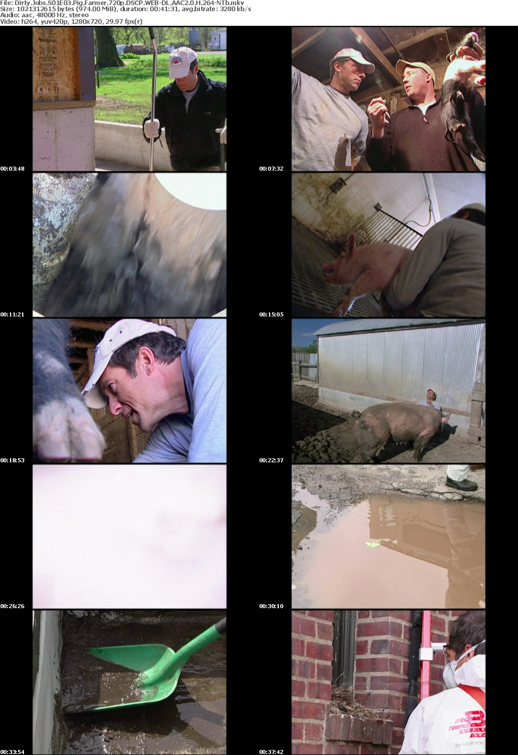 Dirty Jobs S01E03 Pig Farmer 720p DSCP WEB-DL AAC2 0 H 264-NTb