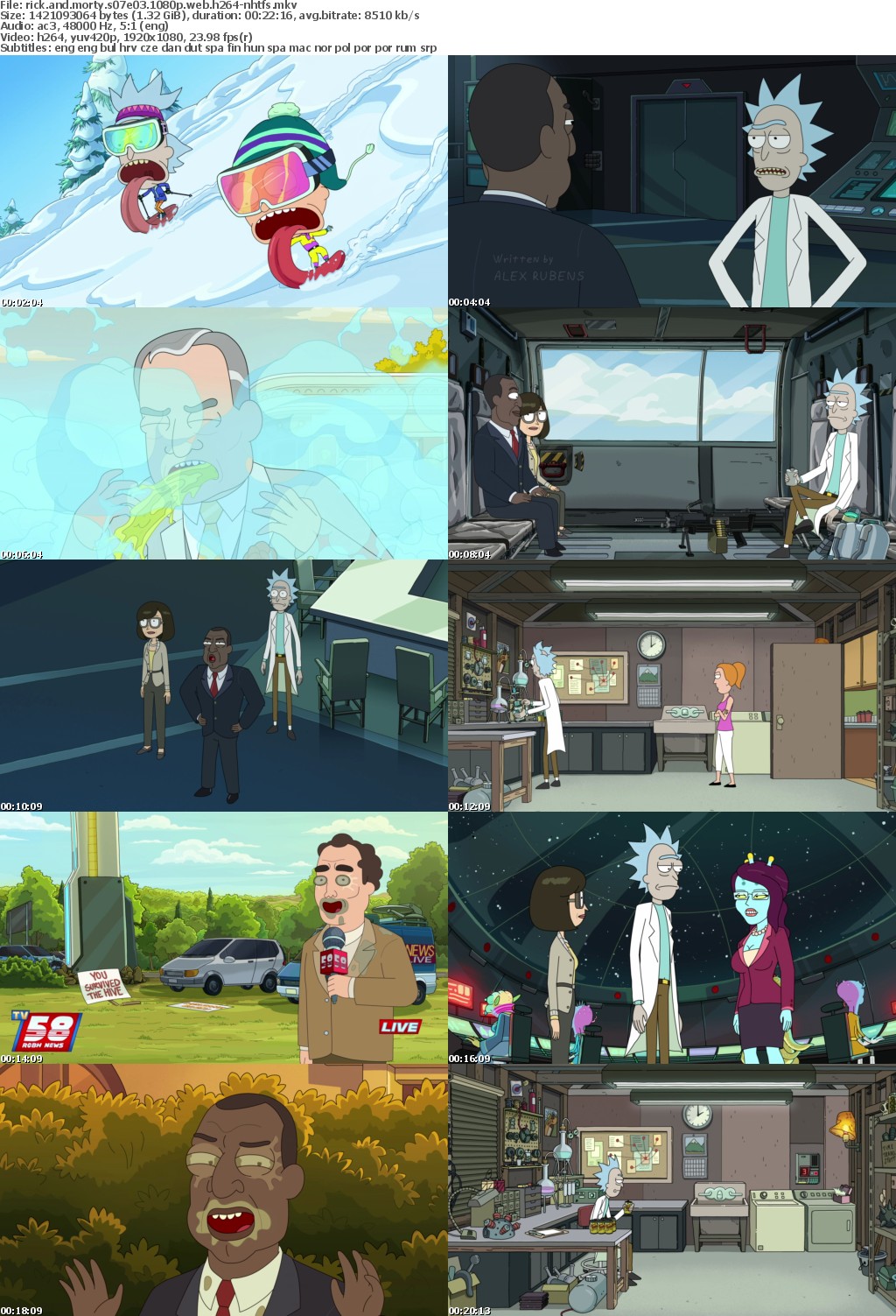 Rick and Morty S07E03 1080p WEB H264-NHTFS