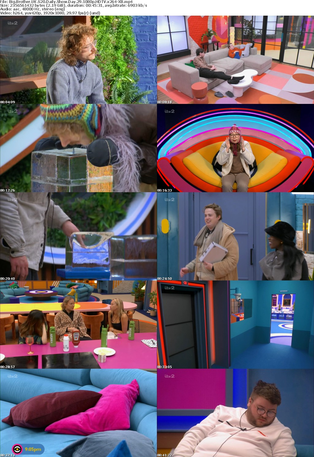 Big Brother UK S20 Daily Show Day 29 1080p HDTV x264-XB