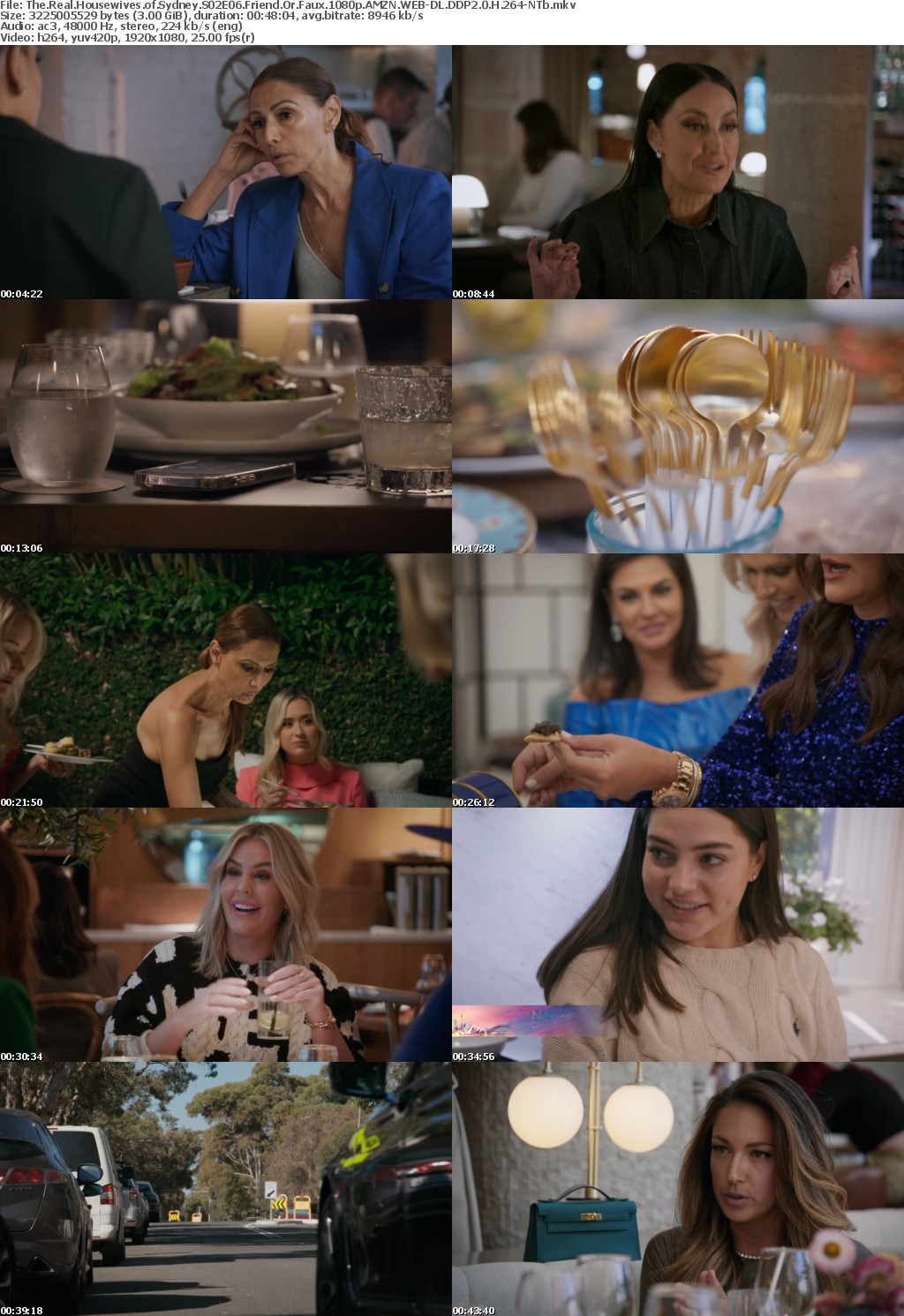 The Real Housewives of Sydney S02E06 Friend Or Faux 1080p AMZN WEB-DL DDP2 0 H 264-NTb