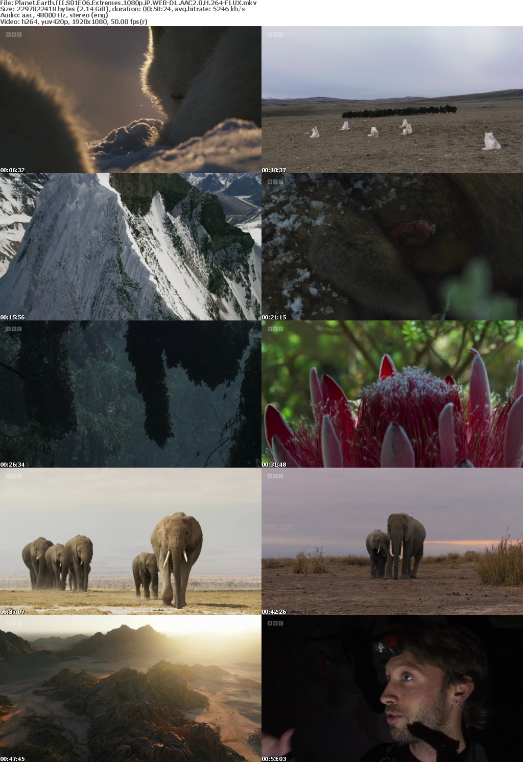 Planet Earth III S01E06 Extremes 1080p iP WEB-DL AAC2 0 H 264-FLUX