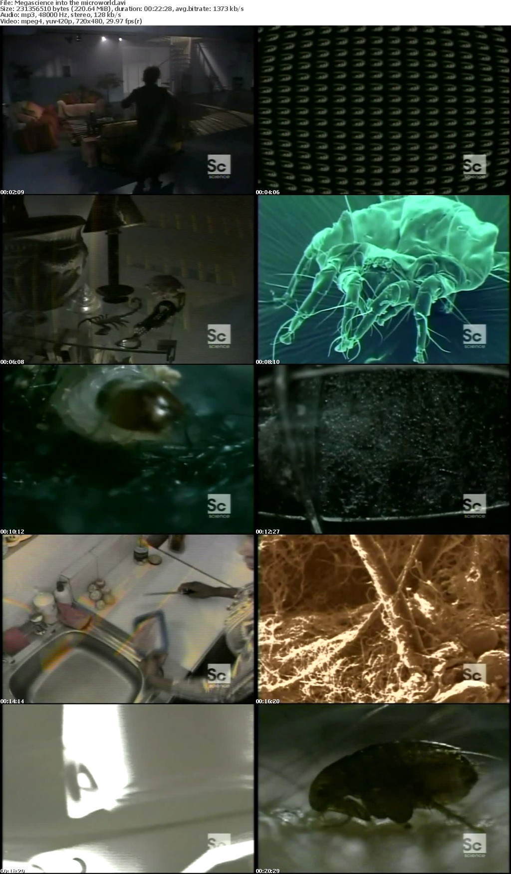 Megascience S01E08 Into The Microworld 720p HDTV