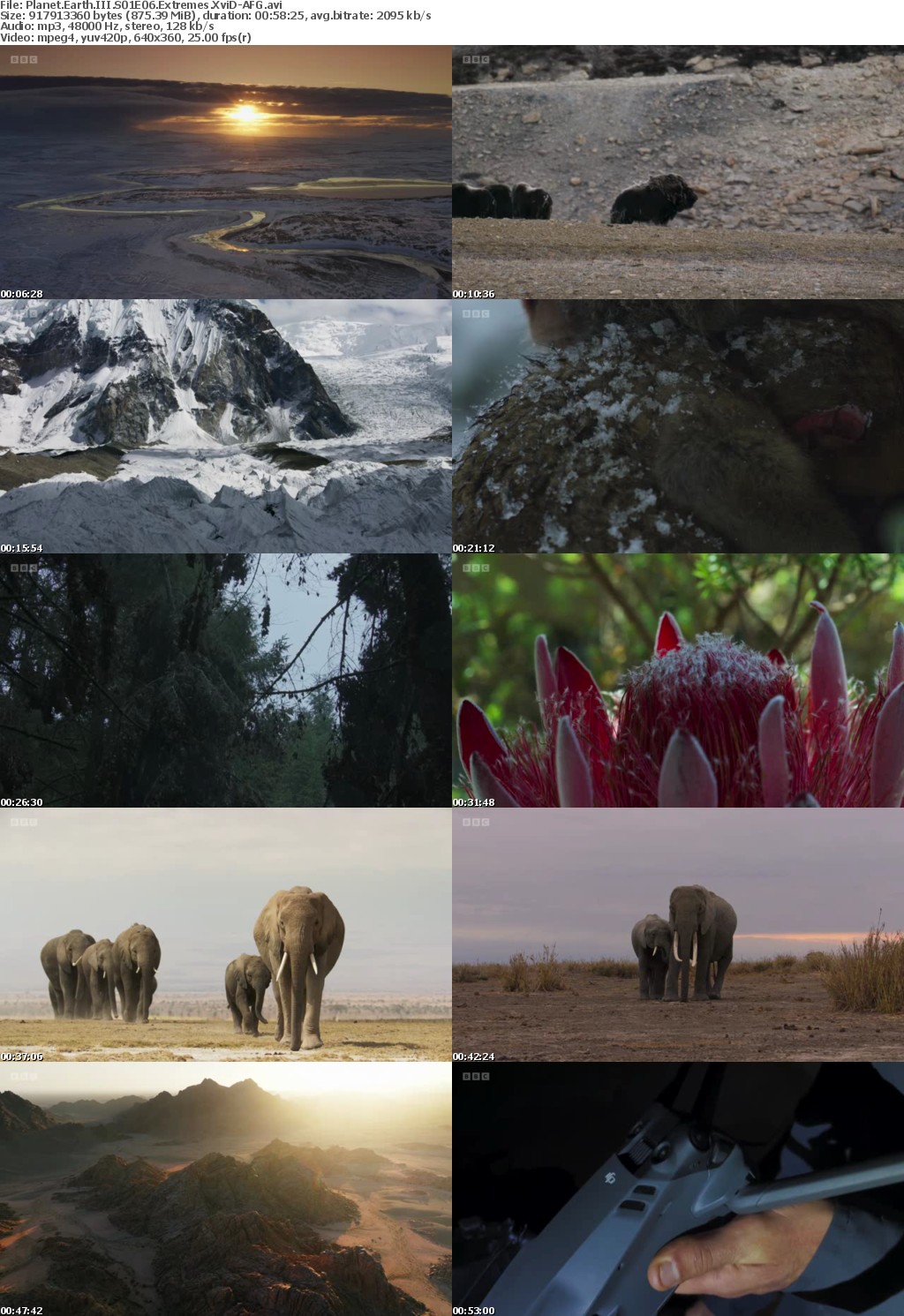 Planet Earth III S01E06 Extremes XviD-AFG