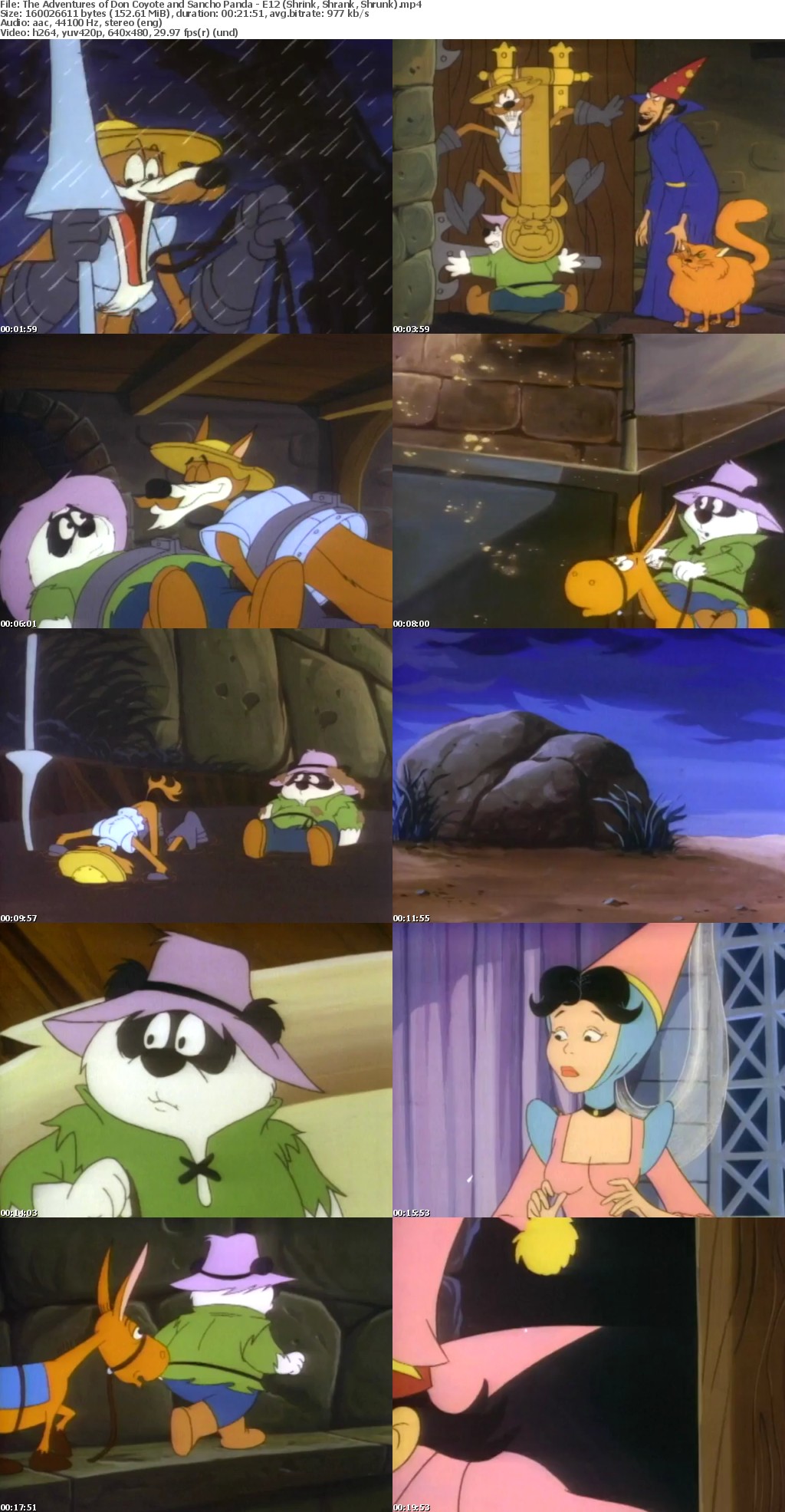 Don Coyote and Sancho Panda (Cartoon series in MP4 format) Lando18