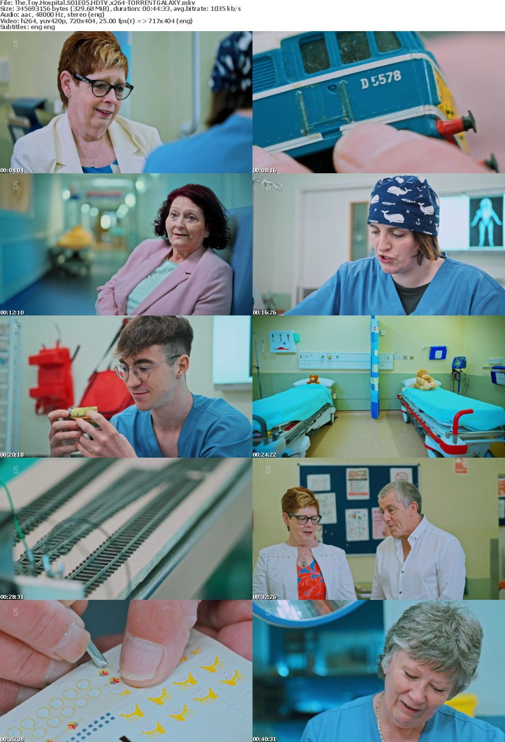 The Toy Hospital S01E05 HDTV x264-GALAXY