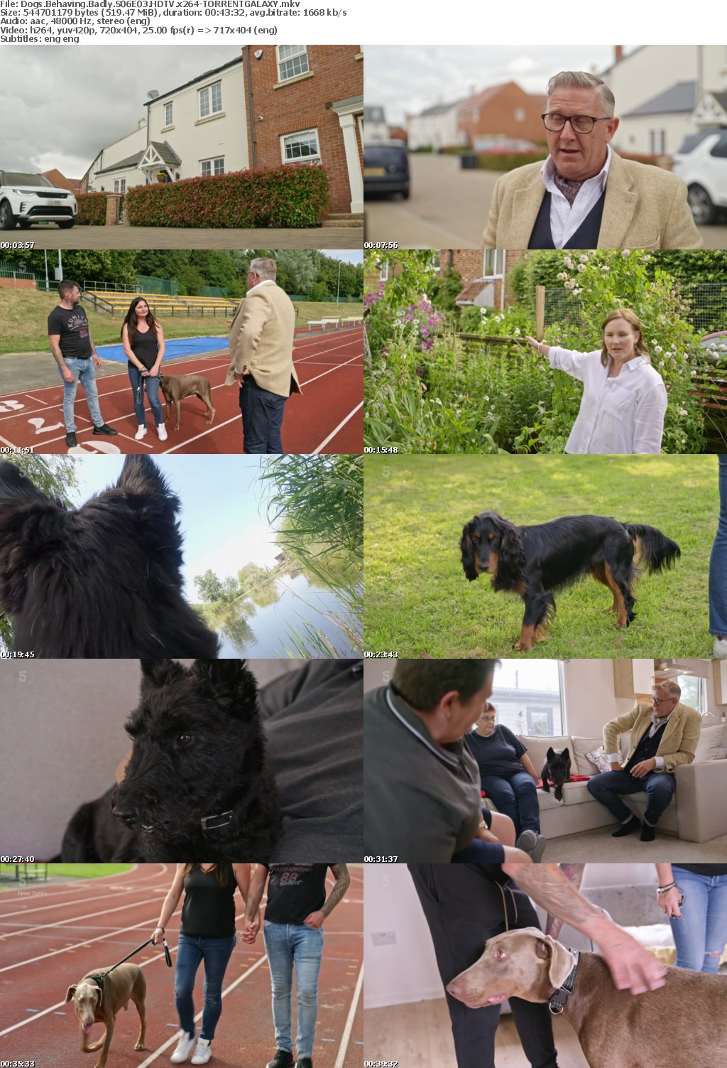Dogs Behaving Badly S06E03 HDTV x264-GALAXY