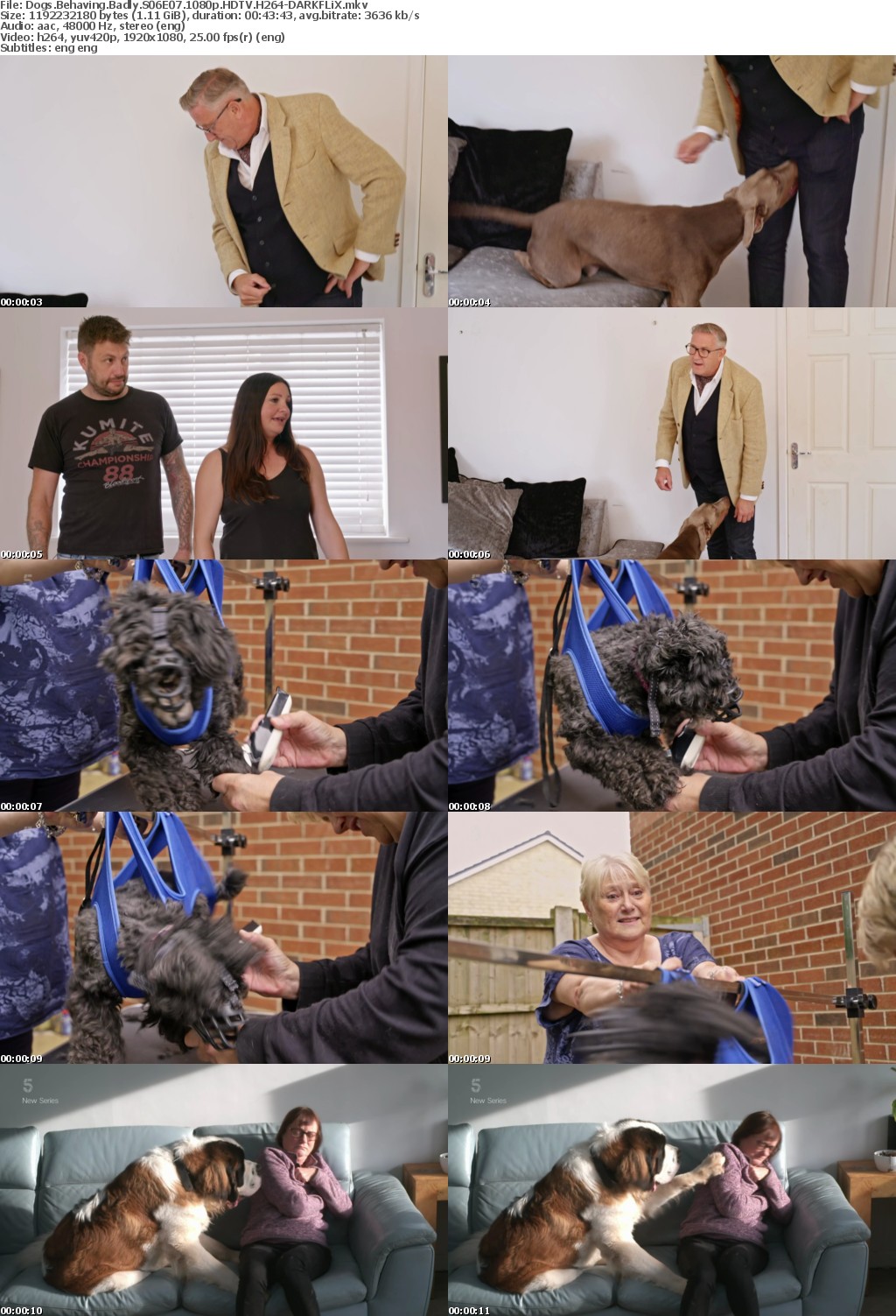 Dogs Behaving Badly S06E07 1080p HDTV H264-DARKFLiX
