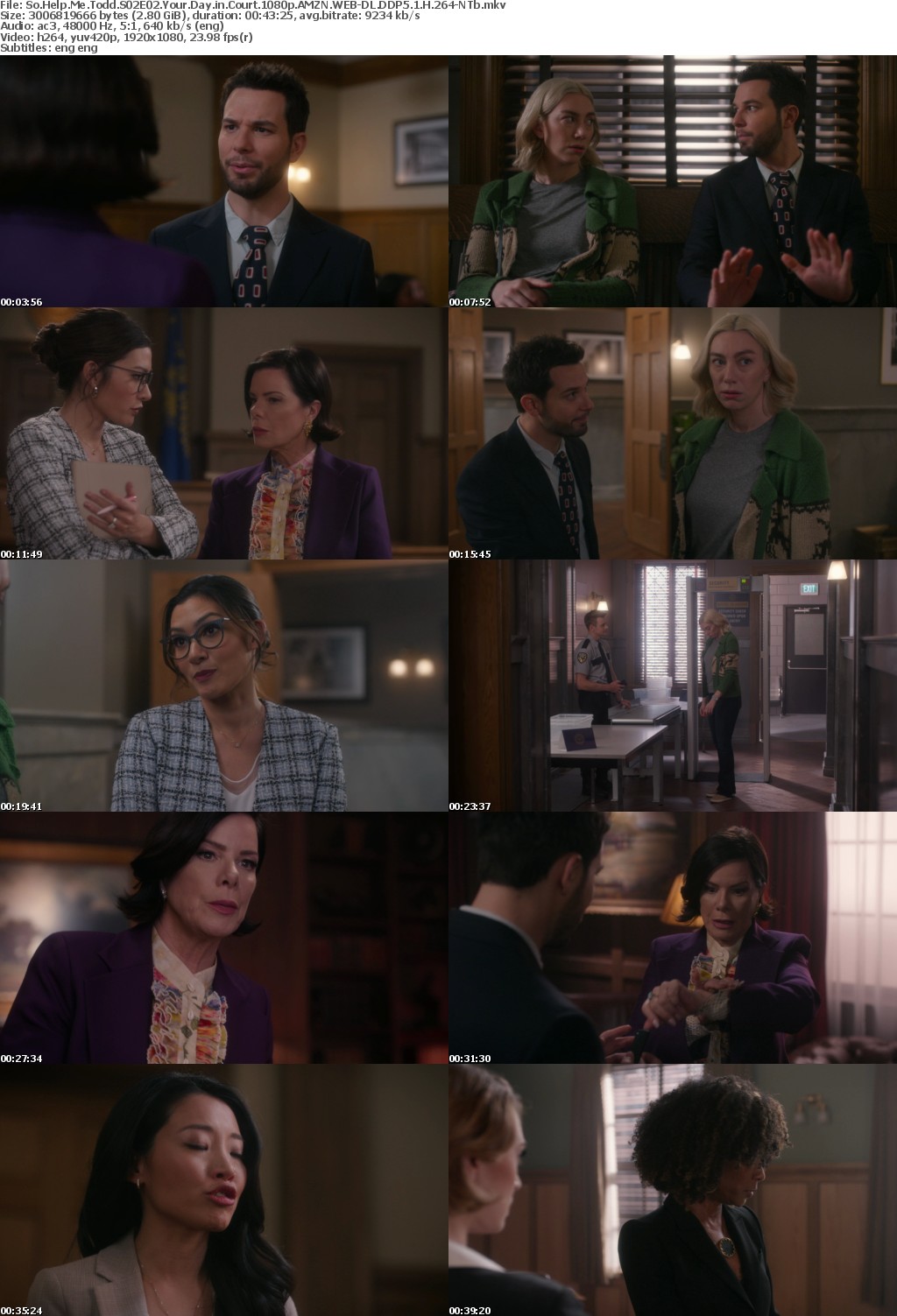 So Help Me Todd S02E02 Your Day in Court 1080p AMZN WEB-DL DDP5 1 H 264-NTb