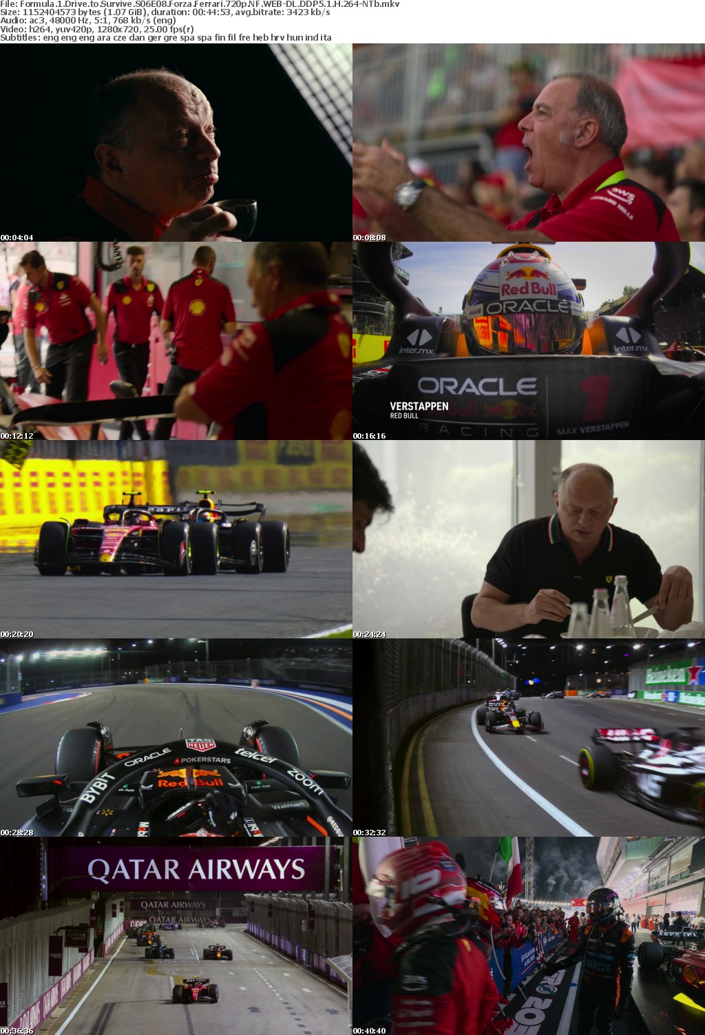 Formula 1 Drive to Survive S06E08 Forza Ferrari 720p NF WEB-DL DDP5 1 H 264-NTb