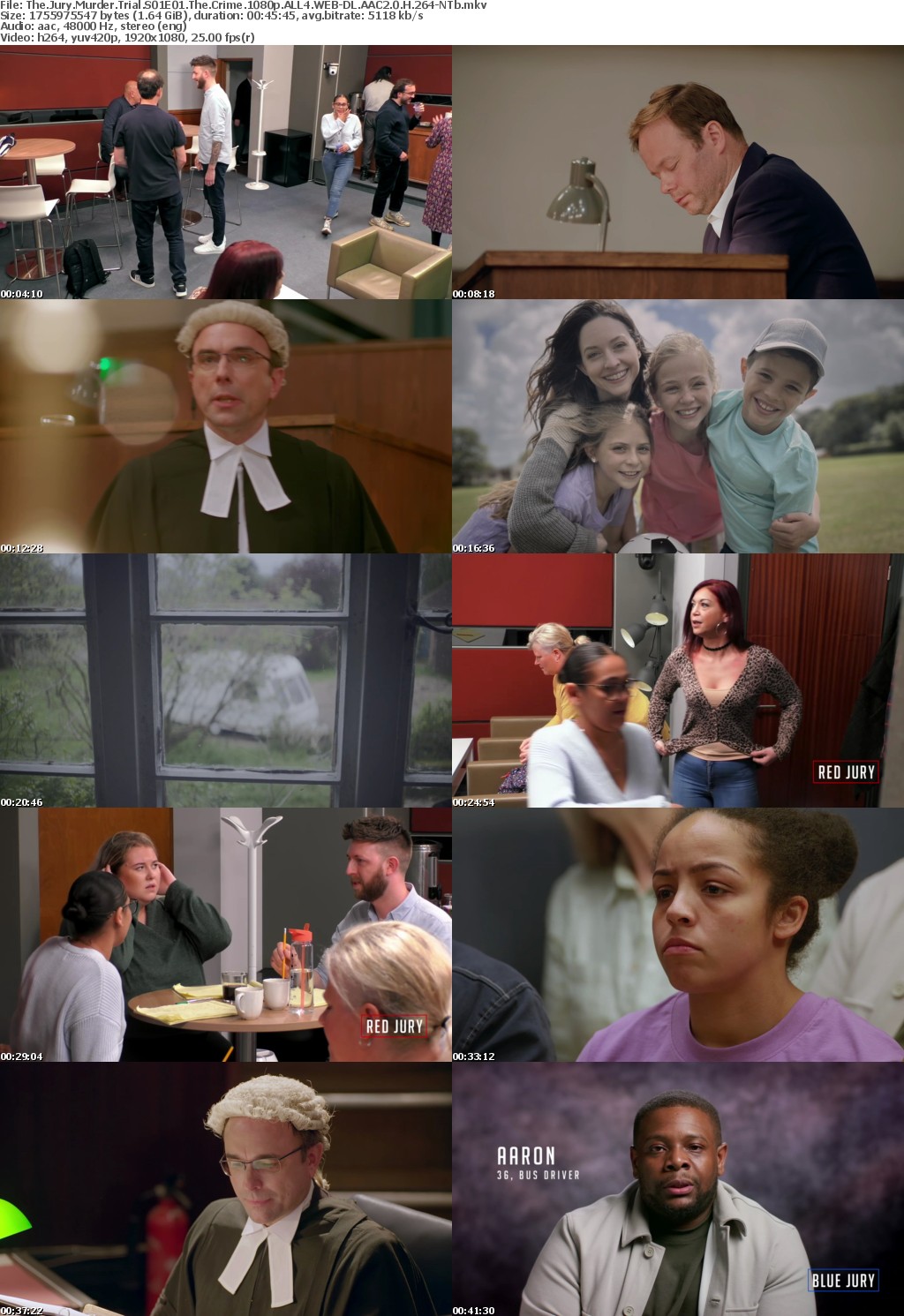 The Jury Murder Trial S01E01 The Crime 1080p ALL4 WEB-DL AAC2 0 H 264-NTb
