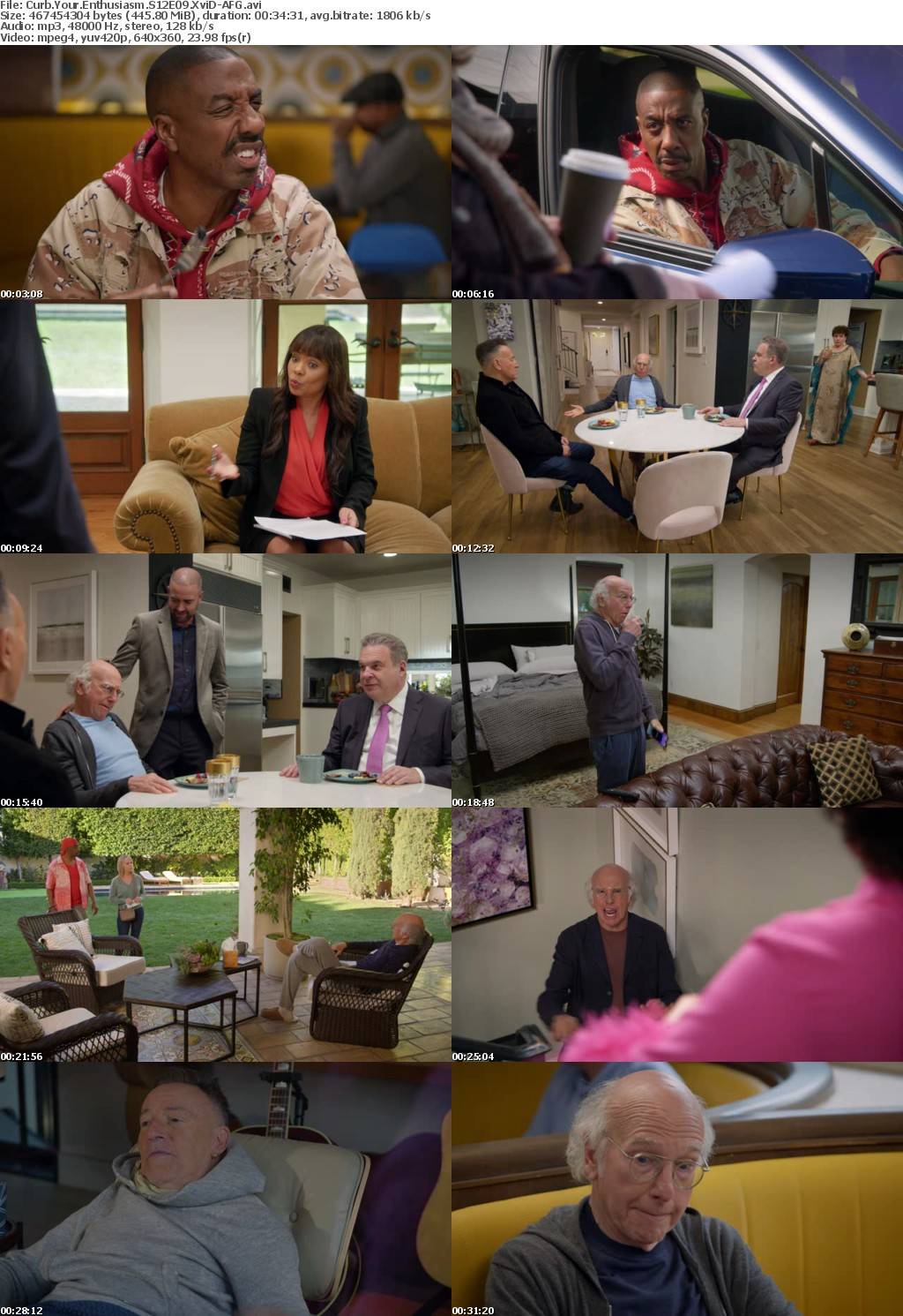 Curb Your Enthusiasm S12E09 XviD-AFG