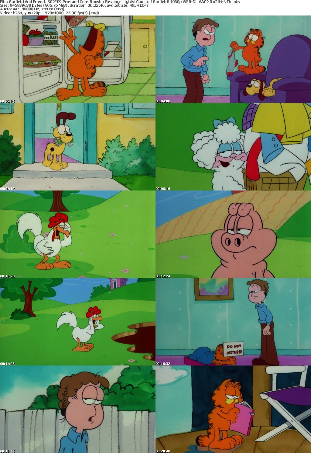 Garfield And Friends S02E09 Pros and Cons Rooster Revenge Lights! Camera! Garfield! 1080p WEB-DL AAC2 0 x264-NTb