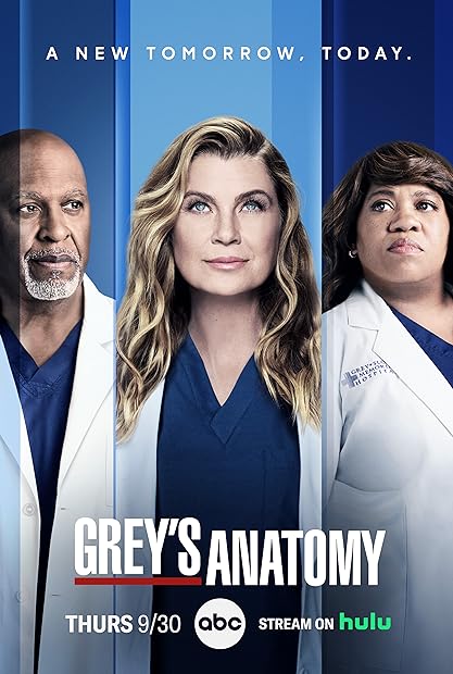 Greys Anatomy S20E08 Blood Sweat and Tears 720p AMZN WEB-DL DDP5 1 H 264-NT ...